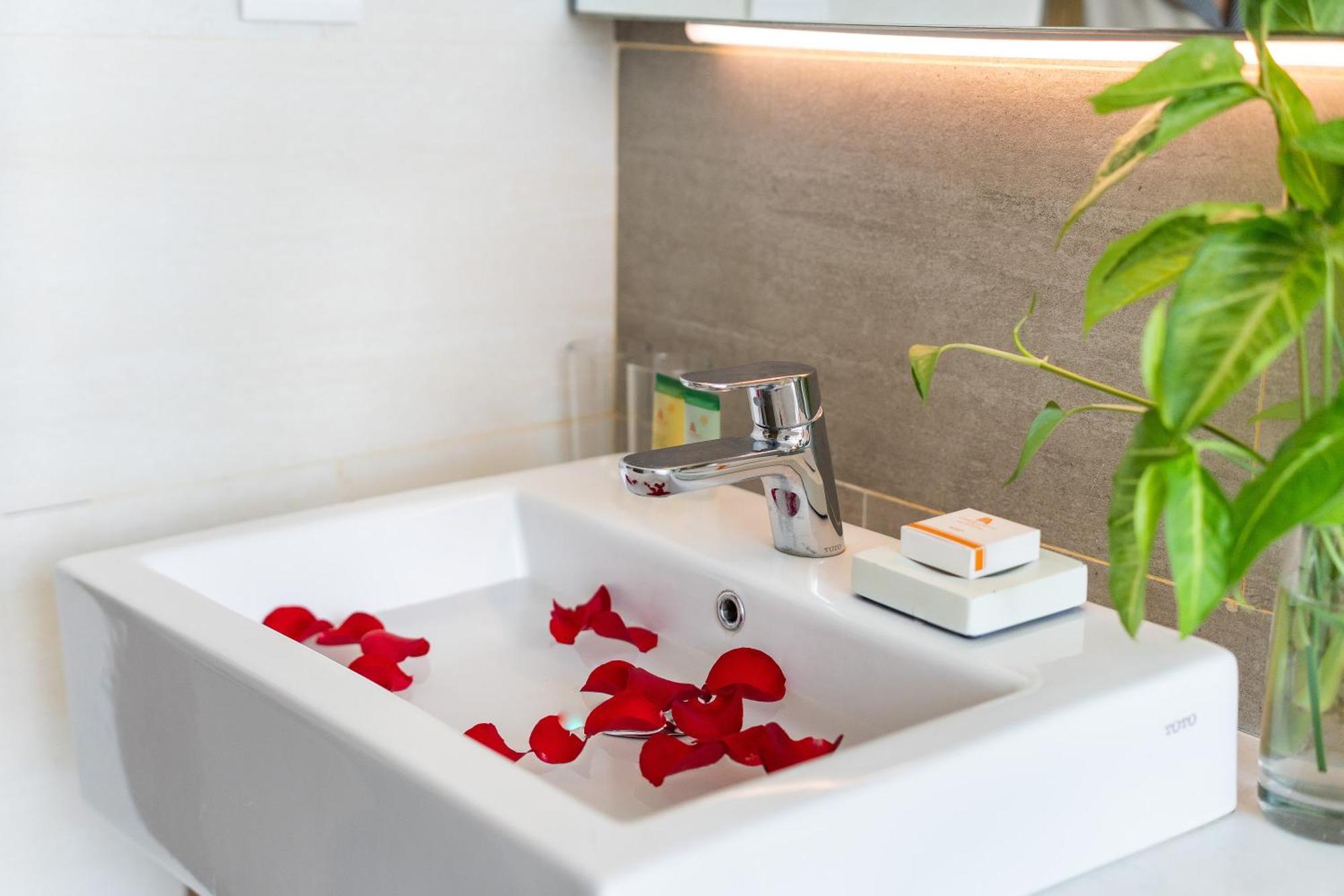 Dic Star Landmark Aparthotel Vung Tau